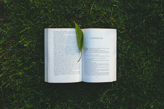 Literaturtipps Teil 2 - Bücher über nachhaltige Kleidung