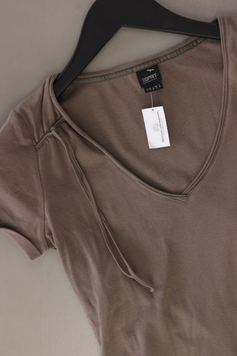 Esprit Collection Shirt mit V-Ausschnitt Gr. S Kurzarm braun aus Baumwolle