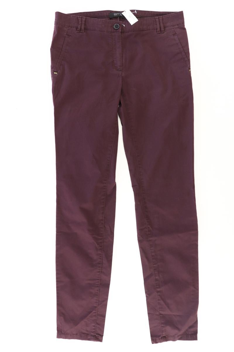 Esprit Collection Hose Gr. 36 Modell Prague lila aus Baumwolle