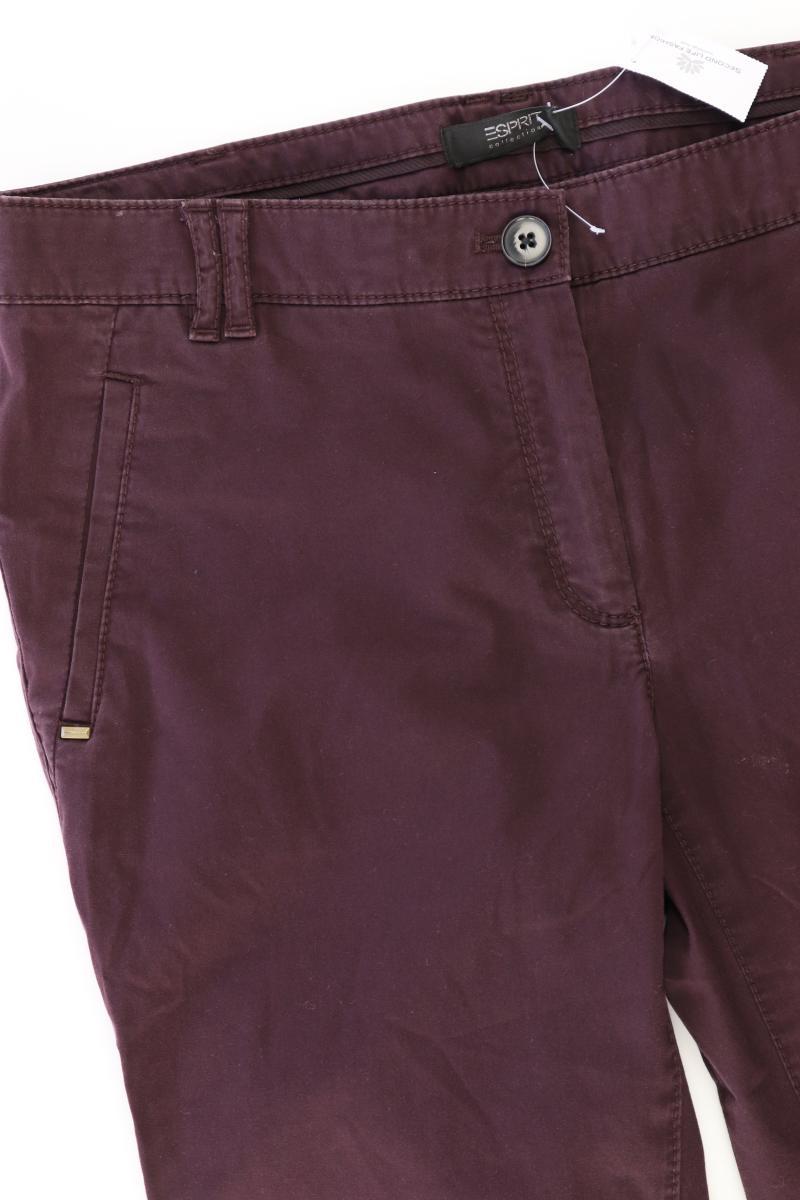 Esprit Collection Hose Gr. 36 Modell Prague lila aus Baumwolle