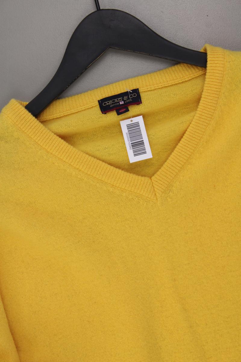Cricket & Co. Wollpullover für Herren Gr. XXL gelb