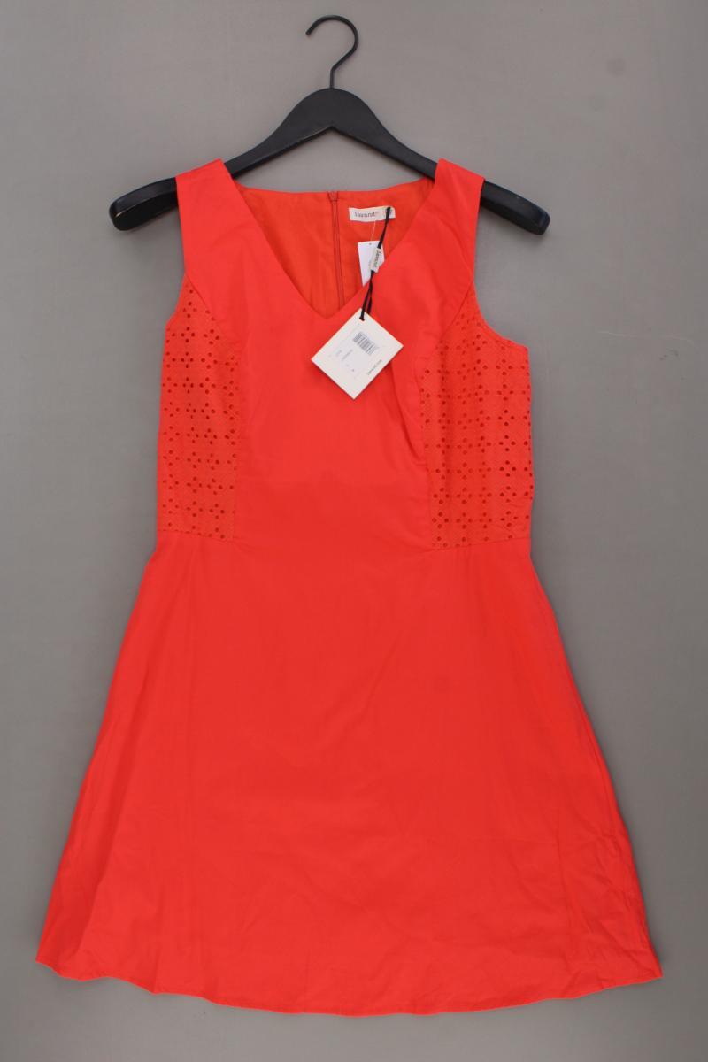 Lavand Midikleid Gr. M neu mit Etikett Ärmellos orange aus Baumwolle