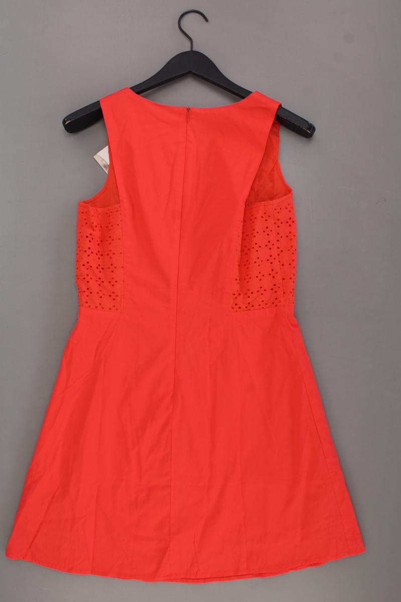 Lavand Midikleid Gr. M neu mit Etikett Ärmellos orange aus Baumwolle