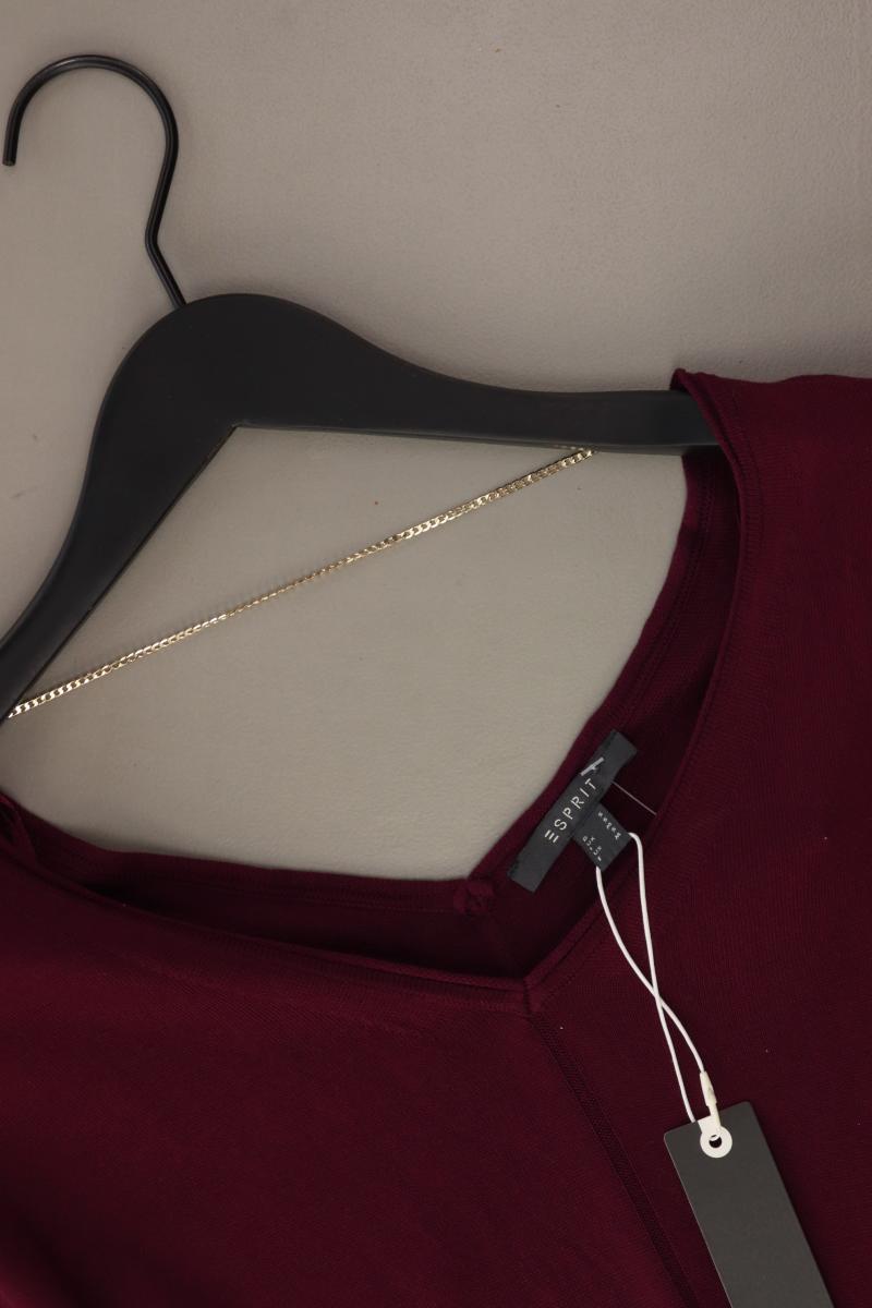 Esprit Strickshirt Gr. S neu mit Etikett Neupreis: 49,99€! Kurzarm lila