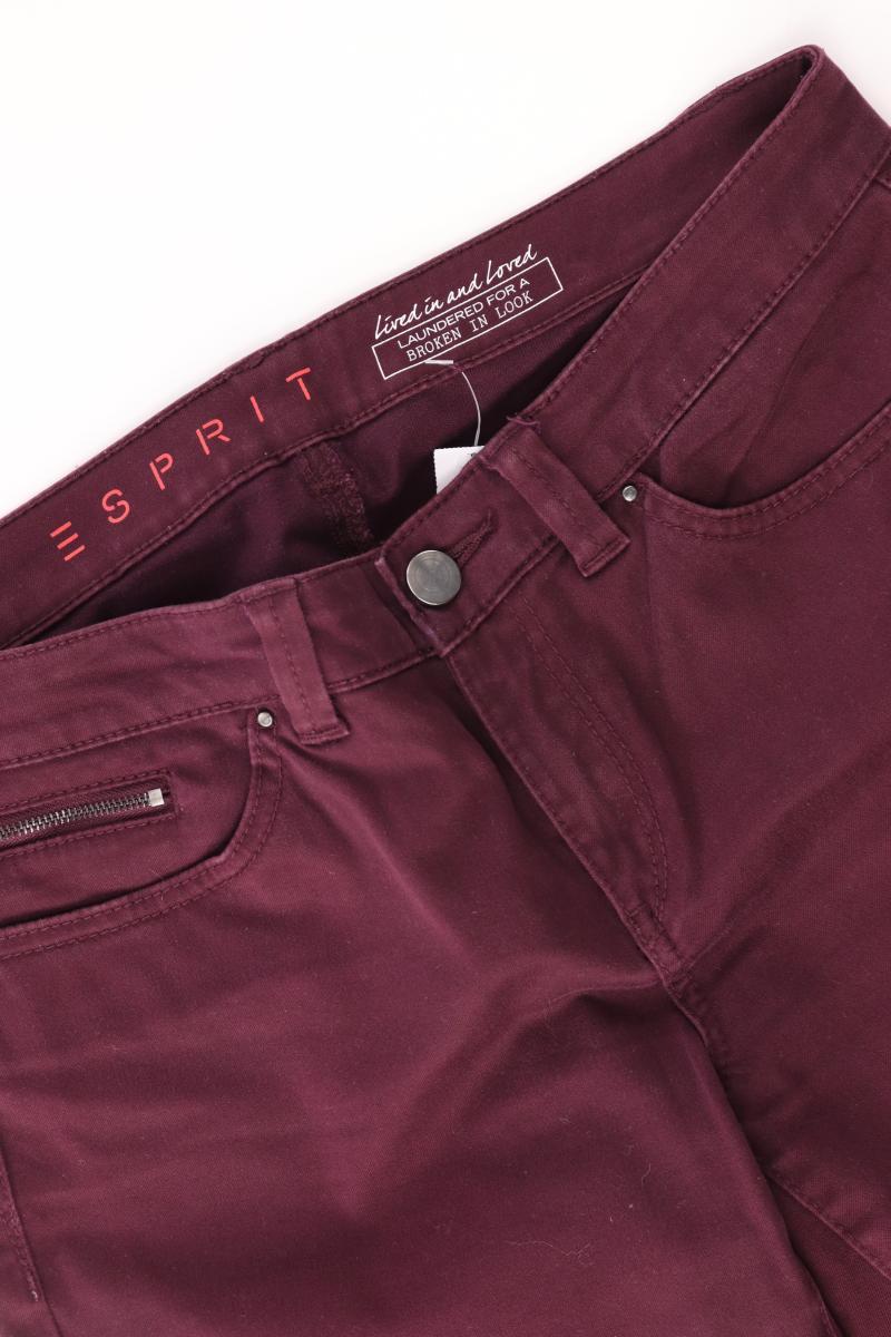 Esprit Hose Gr. 38/L32 lila aus Baumwolle