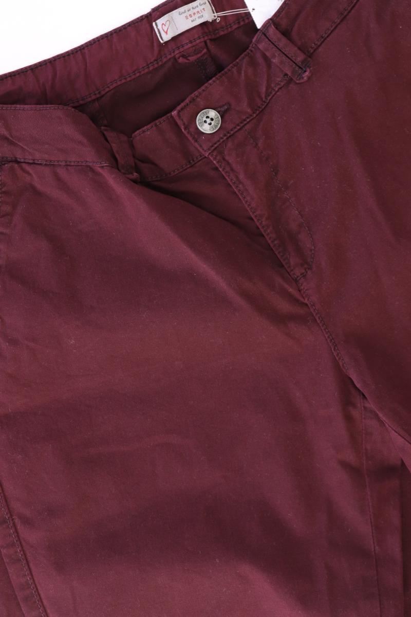 Esprit Chinohose Gr. 38/L32 lila aus Baumwolle