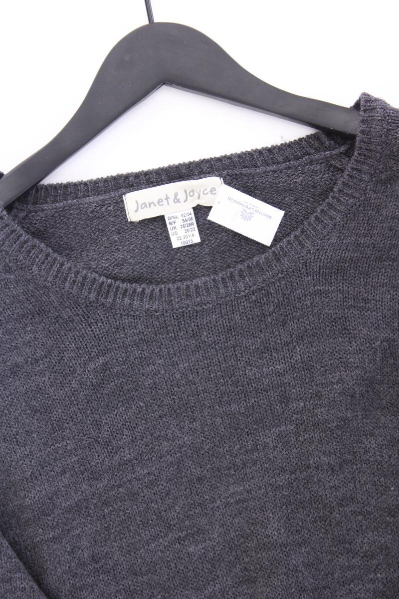 Janet & Joyce Langarmpullover Gr. 52/54 grau aus Polyacryl