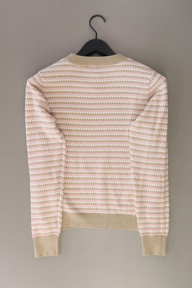 Esprit Feinstrickpullover Gr. L neuwertig braun aus Baumwolle