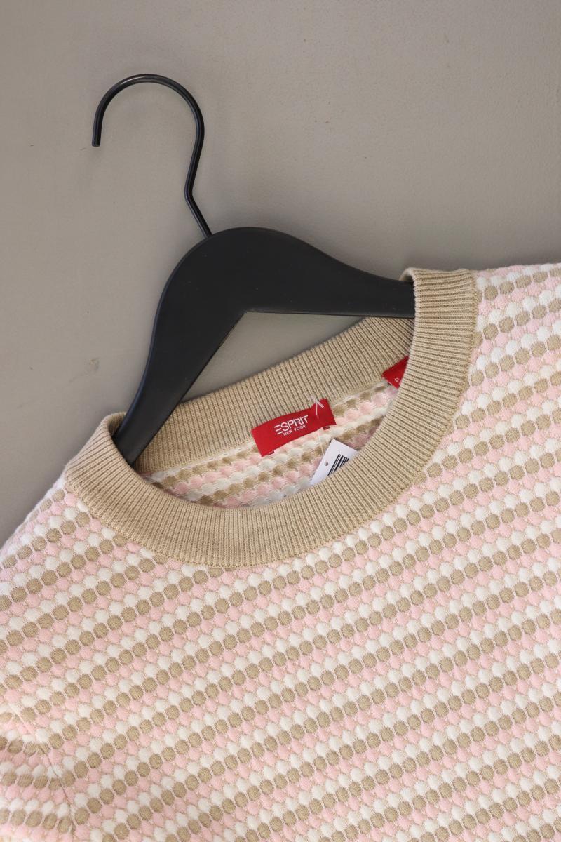 Esprit Feinstrickpullover Gr. L neuwertig braun aus Baumwolle