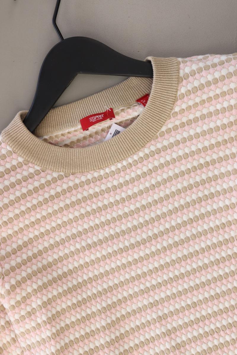 Esprit Feinstrickpullover Gr. L neuwertig braun aus Baumwolle