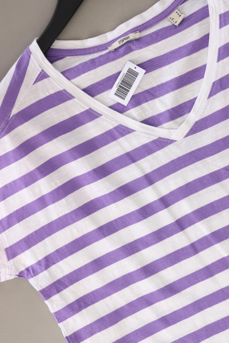 Esprit Ringelshirt Gr. S gestreift Kurzarm lila aus Baumwolle