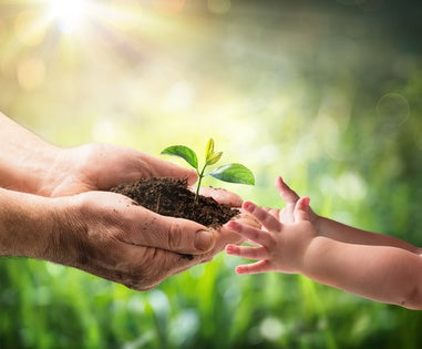 Warum uns die Umwelt interessieren sollte