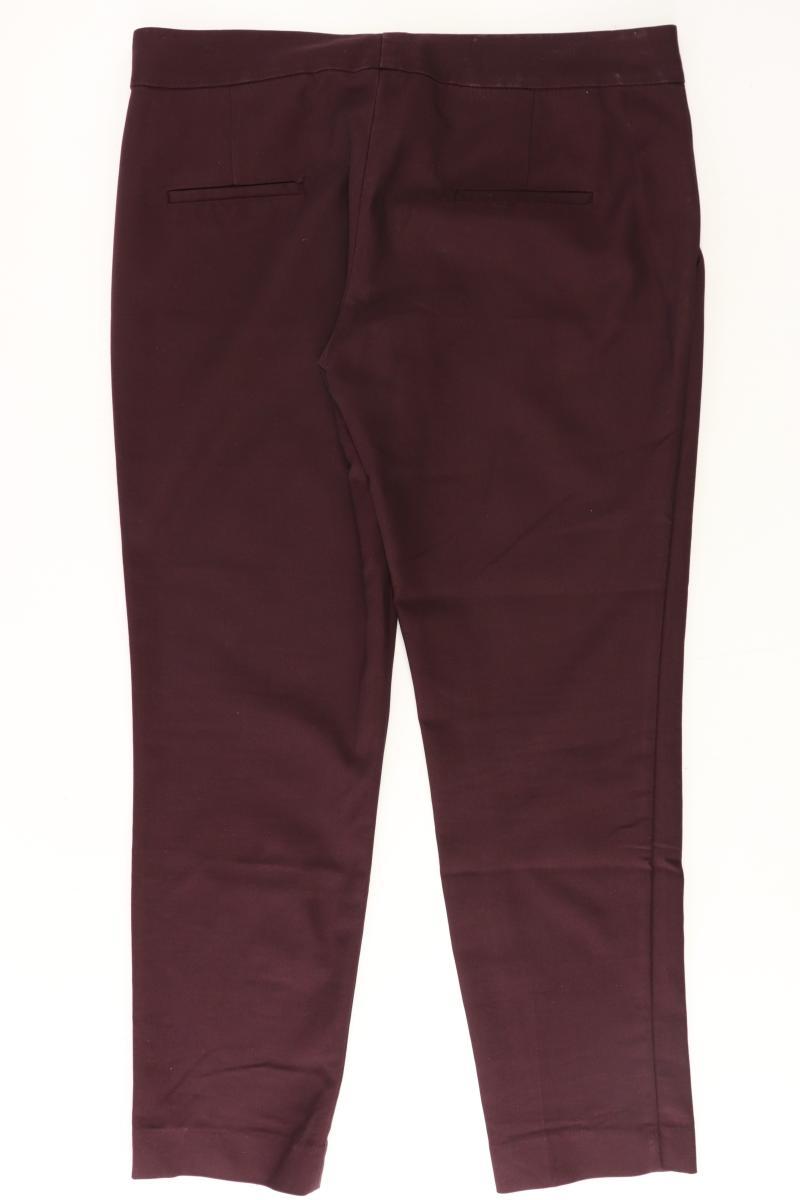 Mango Hose Gr. 40 lila aus Baumwolle