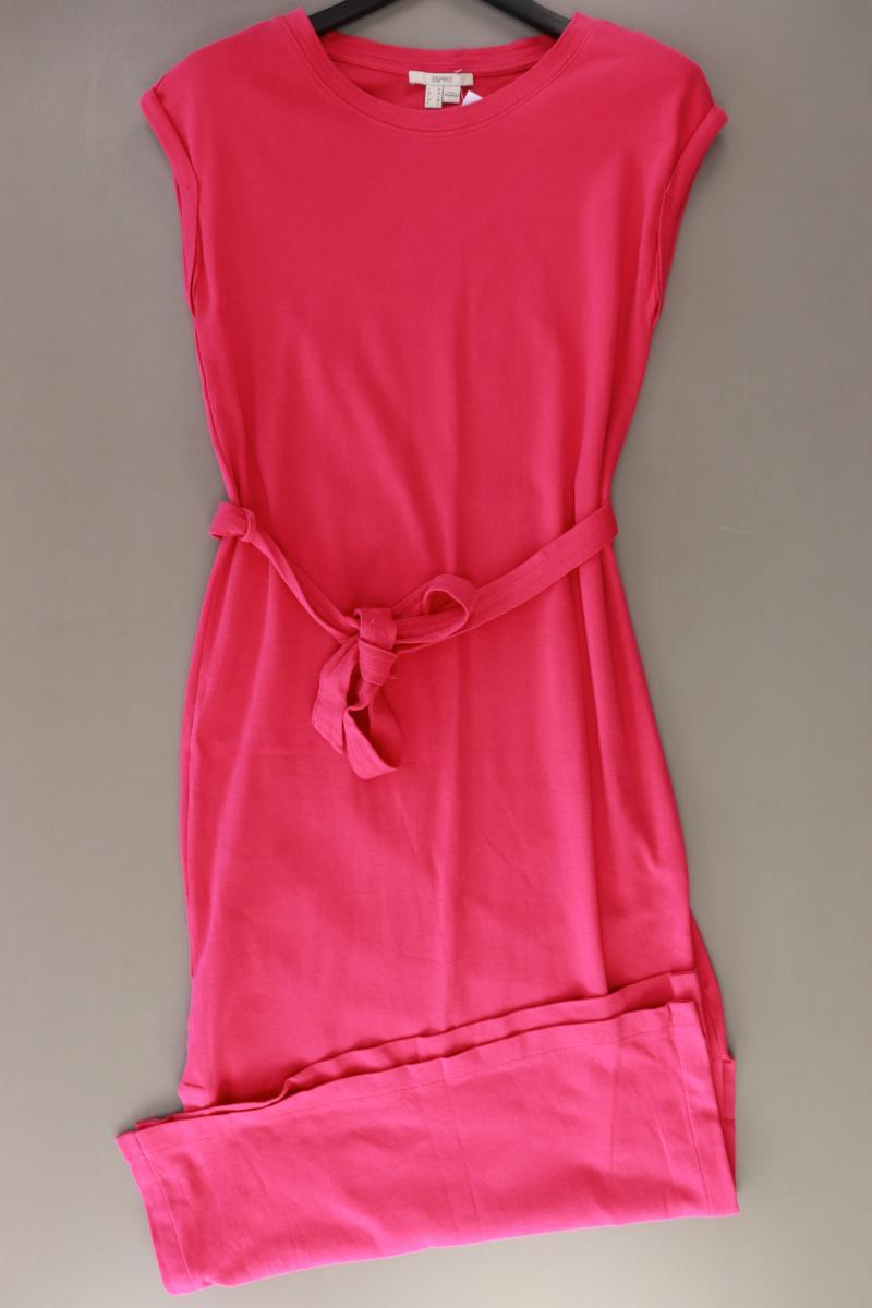 Esprit Kurzarmkleid Gr. M mit Gürtel pink aus Baumwolle