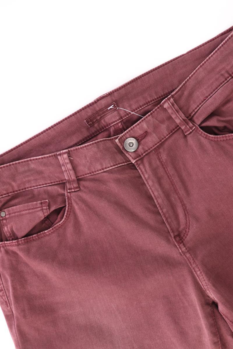 Esprit Straight Jeans Gr. 38/L32 lila aus Baumwolle
