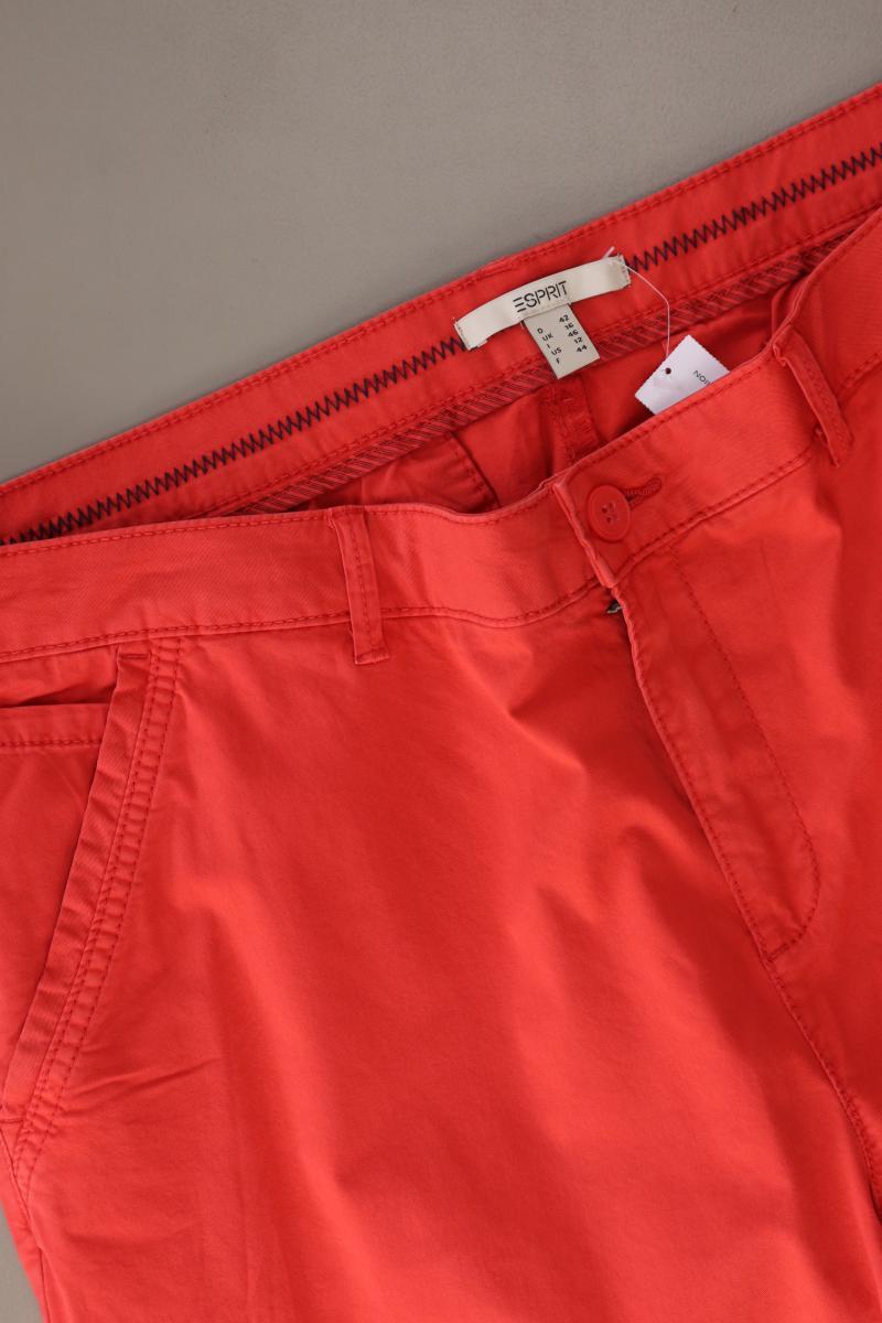 Second Hand Outfit Größe L mit Esprit Langarmbluse in Gr. 42 und Tuch