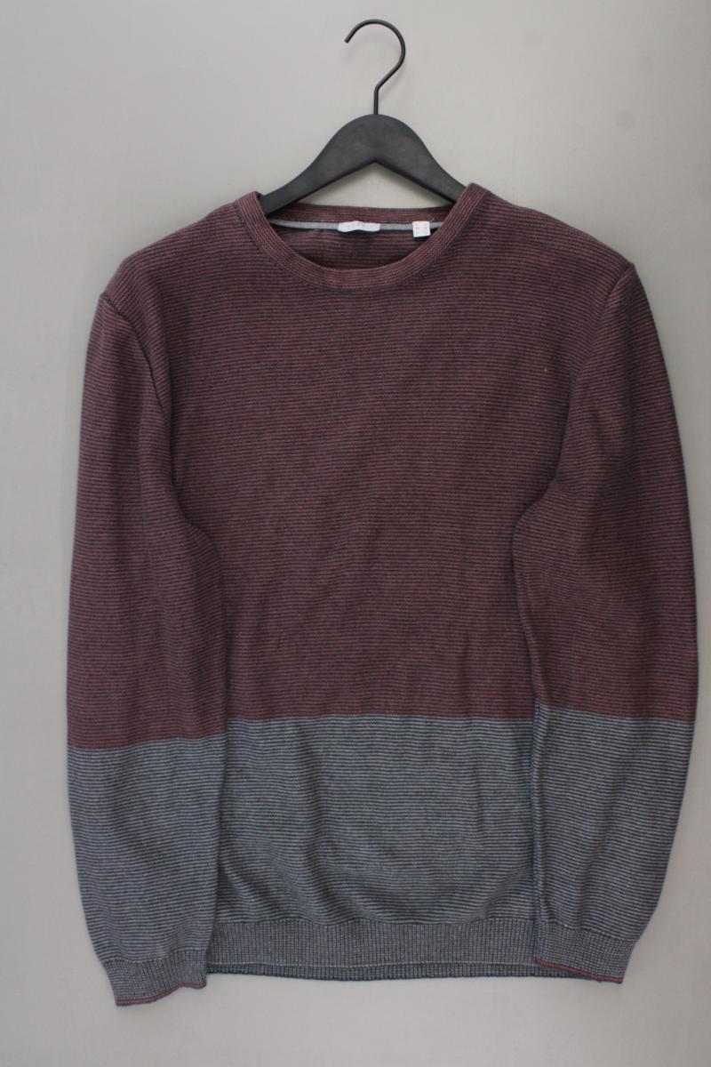 Esprit Langarmpullover für Herren Gr. XL lila aus Baumwolle