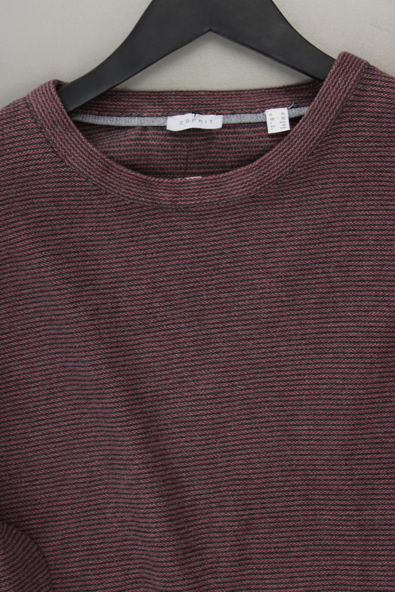 Esprit Langarmpullover für Herren Gr. XL lila aus Baumwolle