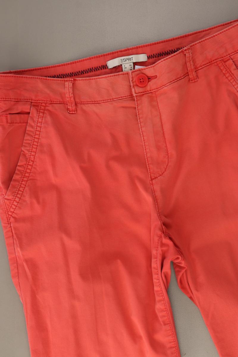 Esprit Chinohose Gr. 34 rot
