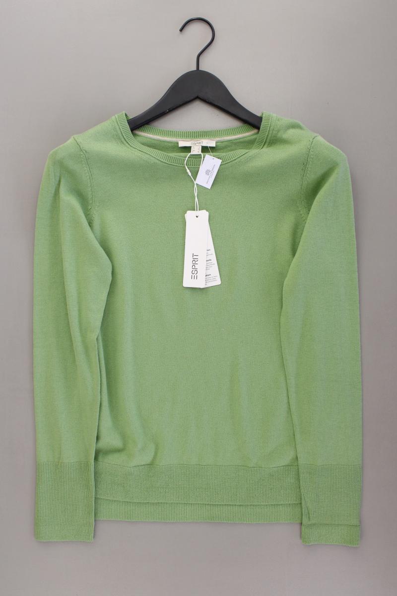 Esprit Feinstrickpullover Gr. L neu mit Etikett Neupreis: 29,99€! grün