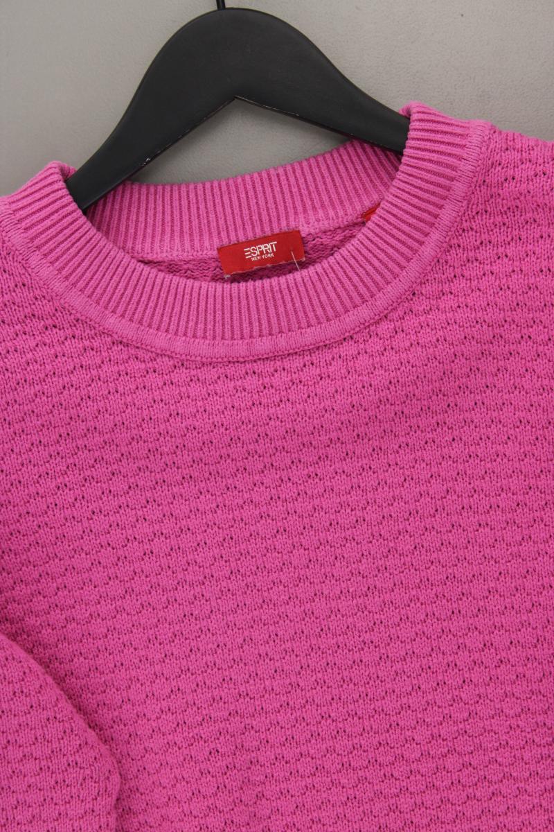 Esprit Feinstrickpullover Gr. XL pink aus Baumwolle