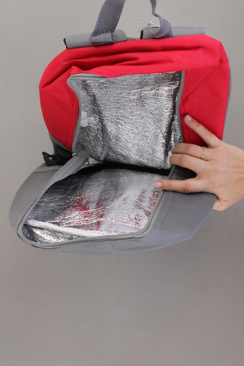 Atlas for Men Kühl Rucksack für Herren neuwertig grau