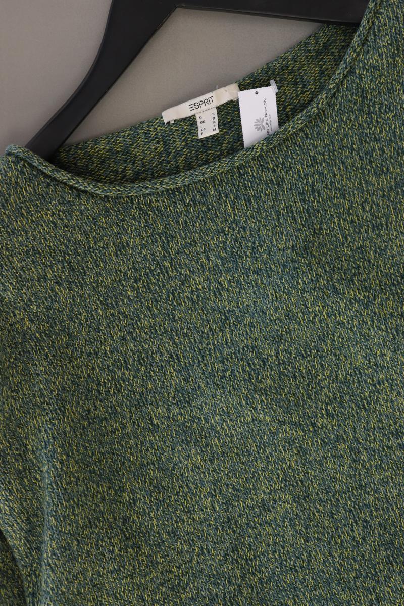 Esprit Feinstrickpullover Gr. S olivgrün aus Baumwolle