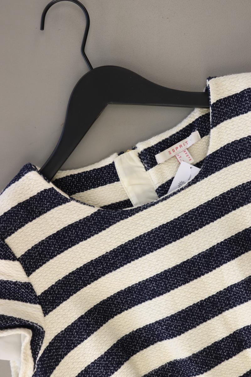 Esprit Bleistiftkleid Gr. 36 gestreift Kurzarm blau aus Baumwolle