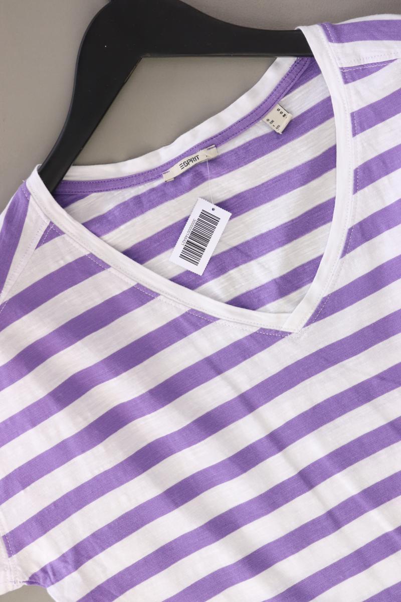 Esprit Ringelshirt Gr. S gestreift Kurzarm lila aus Baumwolle